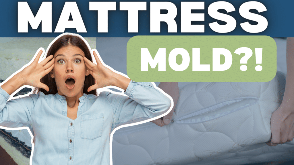 mold-on-a-mattress-banner-image