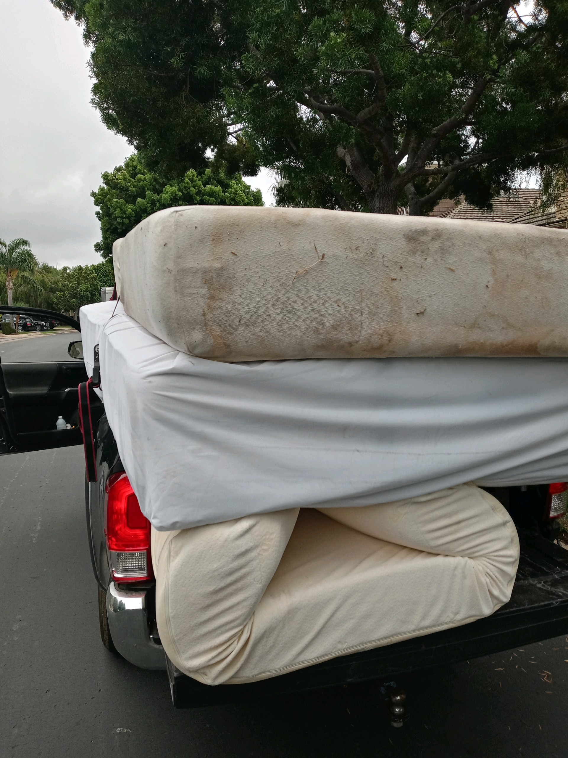 Municipal mattress collection
