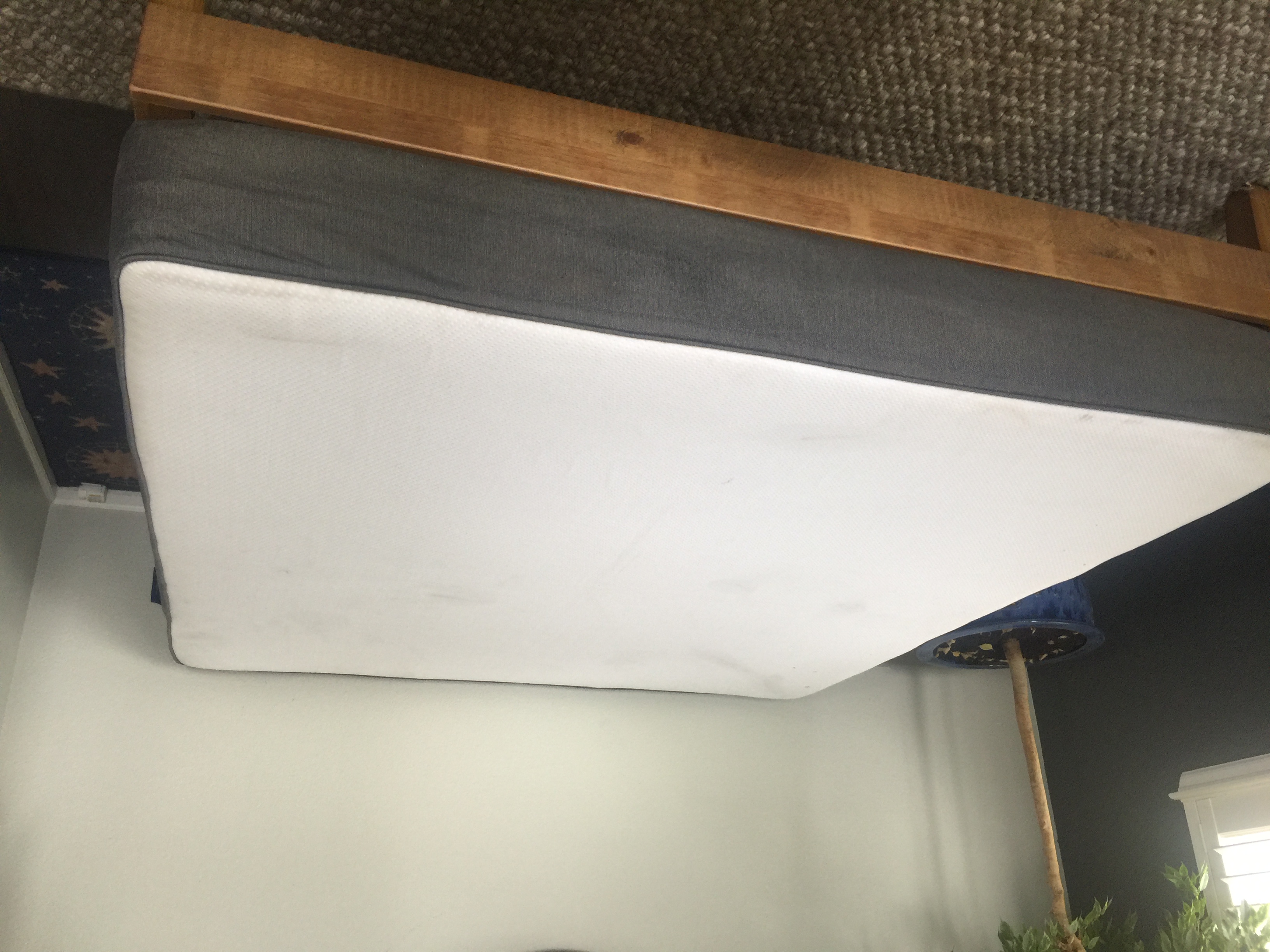 University dorm mattress removal